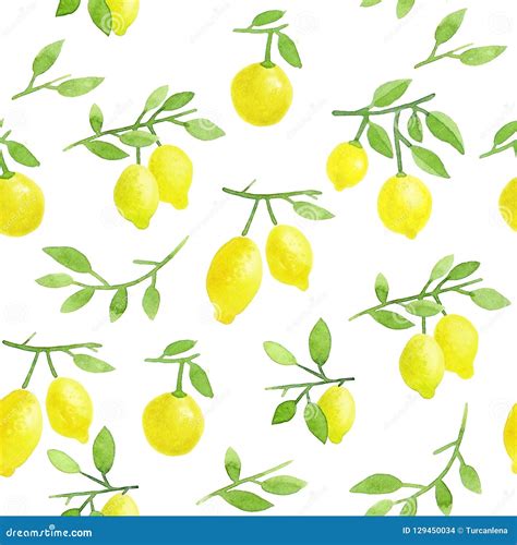 Seamless Lemon Pattern Watercolor Hand Painted Lemons On White