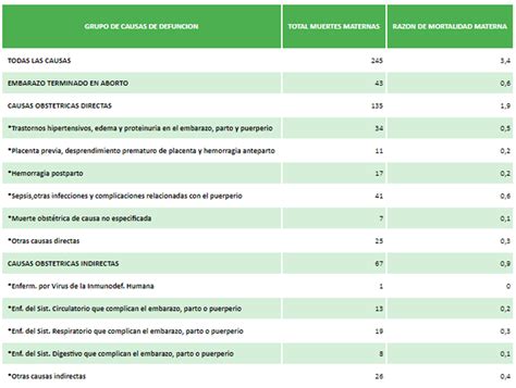 El Ministerio De Salud Admite Que El Aborto No Es La Primera Causa De