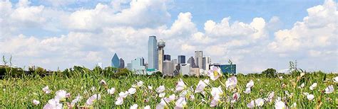 Texas Oncology-Presbyterian Cancer Center Dallas | Texas Oncology