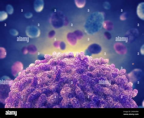 Monkeypox virus infection is a pathogen causing monkeypox disease. The