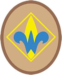 webelos scouts central florida council