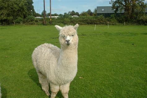 4th Year Students Visit Causey Farm Institute Of Education