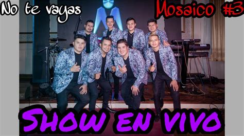 Mosaico 3 Show En Vivo Frecuencia Latina Mix No Te Vayas YouTube