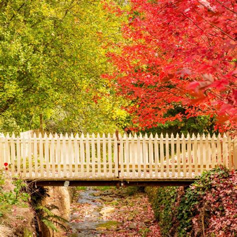 West Gippsland Autumn Photography Trail Visit Gippsland