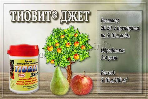 Тиовит Джет: описание, инструкция по применению, отзывы