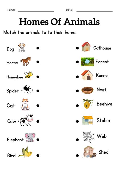 Animals And Their Homes Worksheets For Grade 1 2 3 Homes Of Animals
