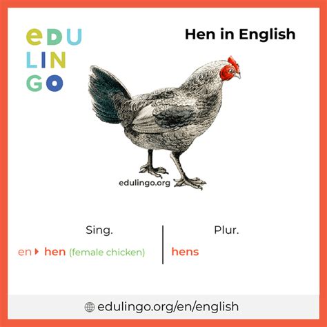 how to pronounce hen