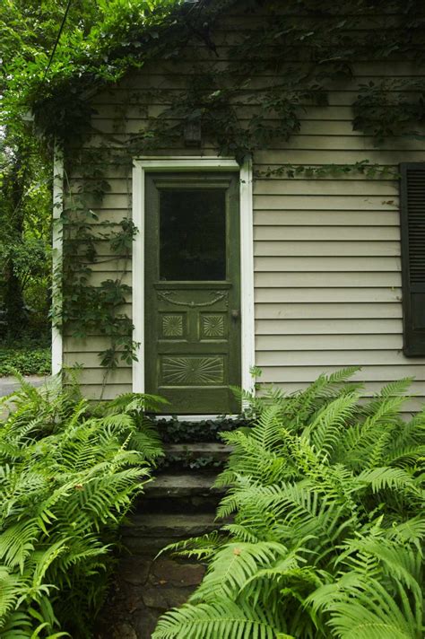 6 Green Front Door Ideas to Level Up Your Curb Appeal - yardworship.com