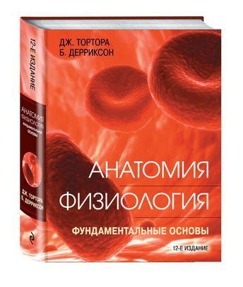 Анатомия. Физиология. Фундаментальные основы | Тортора Джерард ...
