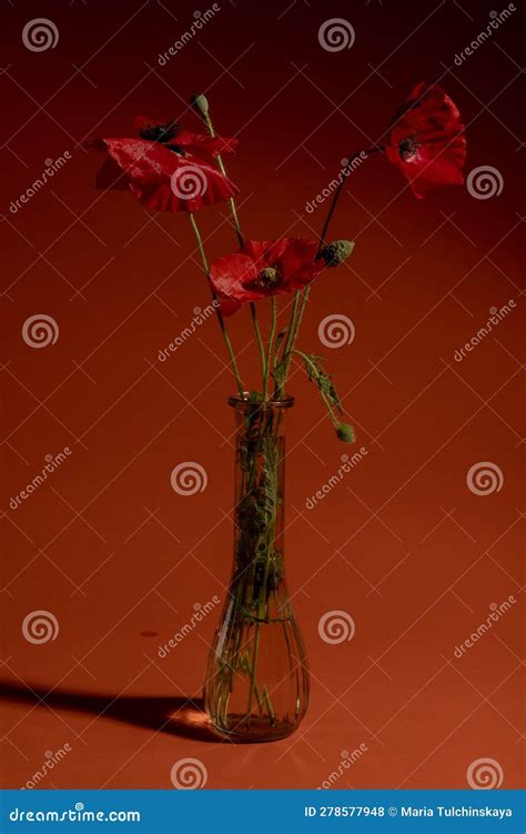 Elegant Burst: Bouquet of Red Poppies on an Orange Background in a ...