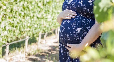 Plus Size Pregnancy Qanda Plus Mommy
