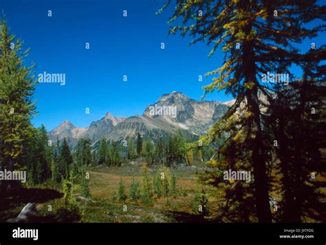 purcell mountains  res stock photography  images alamy
