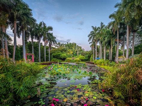 Photographs of the Botanical Garden of Culiacan, Sinaloa 2020 ️