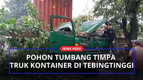 Pohon Tumbang Timpa Truk Kontainer Di Tebingtinggi Sopir Dan Kondektur