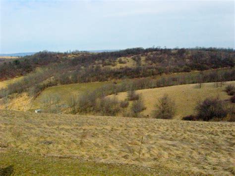 Let It Shine: Trexler Game Preserve, Schnecksville, Pennsylvania