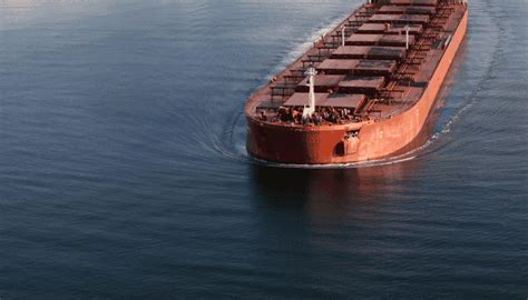 Top Biggest Bulk Carriers In The World