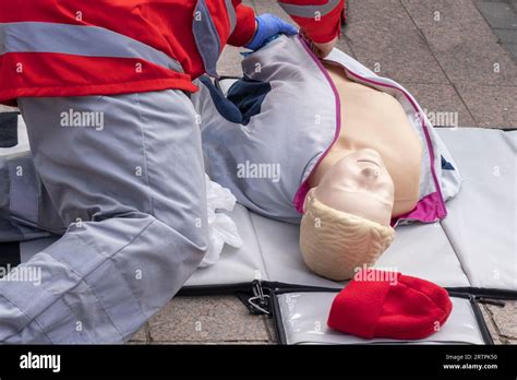 Instructor Showing Resuscitation Technique On Dummy Cpr First Aid