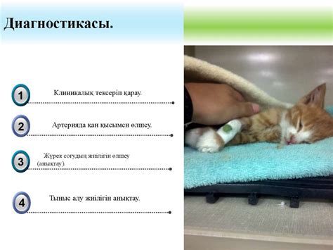 Шок және коллапс - презентация онлайн