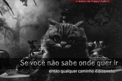 Frase Do Gato Da Alice - Resultado de imagem para frases do filme alice no pais das maravilhas ...