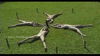 Brunette Delicious Babe Tied Like Hog XVIDEOS