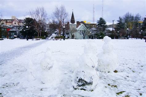 Powdery White GIFs From Seattle’s Snow Day | Seattle Weekly