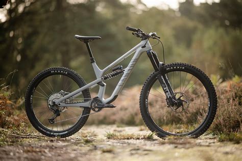 Nueva Canyon Spectral 2022 Mullet Nueva Canyon Spectral 2022 Mullet