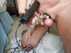 Extreme Elec Cock Ball Torture Croc Clips Porn Pictures Xxx Photos Sex Images Pictoa