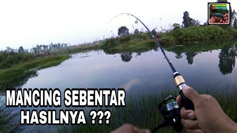 Casting Ikan Gabus Di Spot Ini Memang Joss Mancing Sebentar Lihat