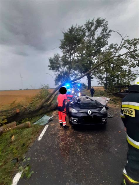 Go Uszyce Drzewo Spad O Na Samoch D Nie Yje Jedna Osoba