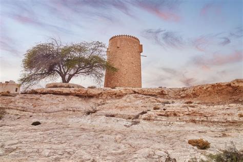 Doha Private North Of Qatar Tour Zubara Fort Mangroves Suitetrails