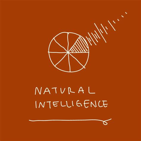 5 things you should know before having a Cabin — Project Mori