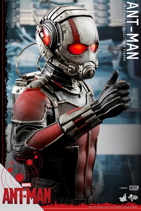 Hot Toys Th Scale Ant Man Collectible Figure Plastic And Plush