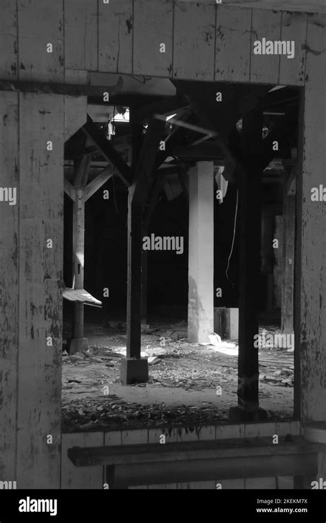 A Vertical Shot Of Old Wooden Pillars Of An Old Barn Stock Photo Alamy