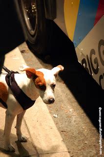 Big Gay Ice Cream Truck Revisited Vegas And Food