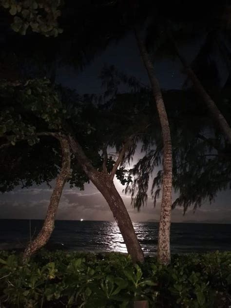 Fuck My Husband Fastiko Au