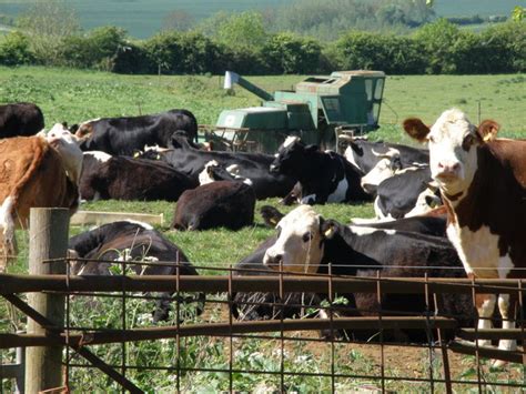 Mixed farming © Michael Trolove cc-by-sa/2.0 :: Geograph Britain and