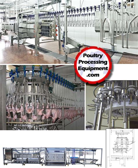 Poultry Processing Equipment, systems and factory development