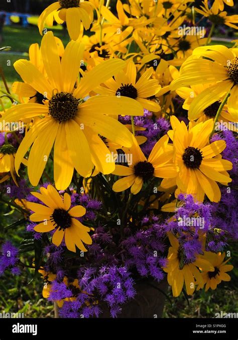 Fall wildflower bouquet Stock Photo - Alamy