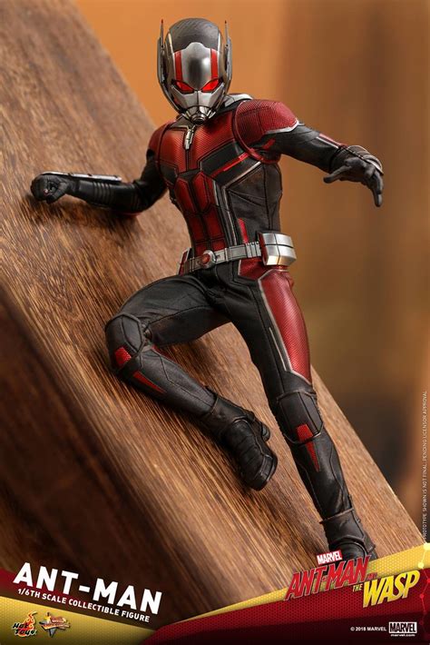 Hot Toys MMS 蟻人與黃蜂女蟻人 Ant Man 比例人偶作品
