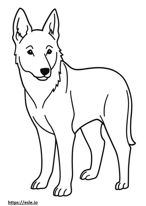 Anjing Kelpie Australia Mewarnai Gambar