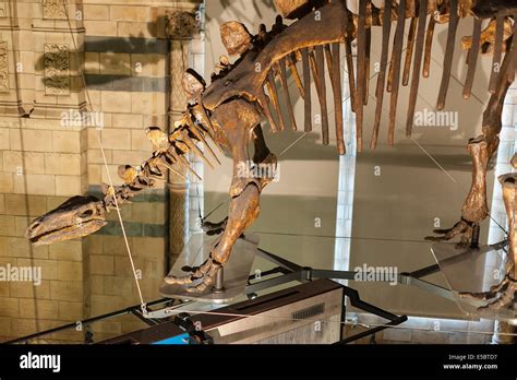 Tuojiangosaurus Jurassic Park Erbauer