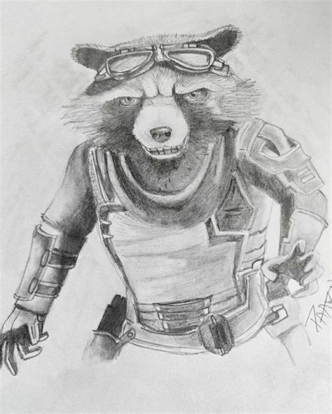 Rocket Raccoon | Marvel art, Rocket raccoon, Raccoon