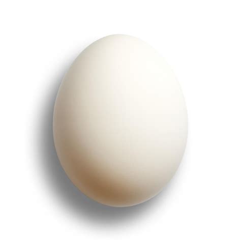 Premium Photo White Egg Isolated On White Background