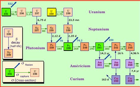 minor actinides radioactivityeucom