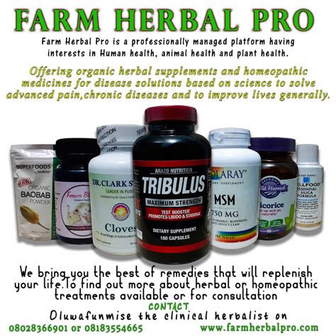 Herb That Enhances Sex Performance And Cures Man And Woman Libido Loss Islam Nigeria