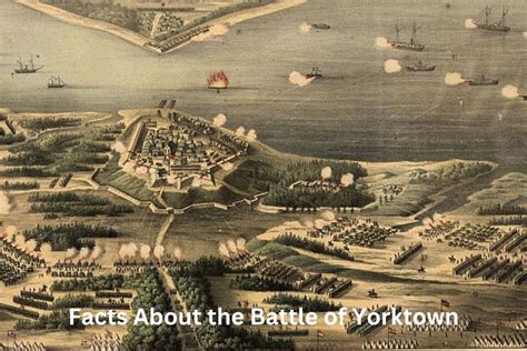 Battle Of Yorktown - vrogue.co