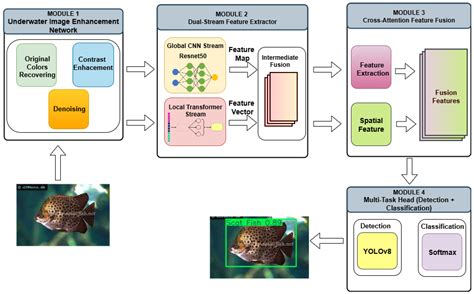 deepfishnet  dual stream deep learning framework  robust
