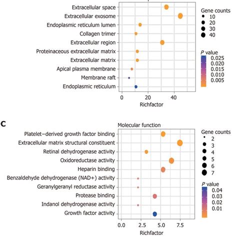 Functional Analysis Of Differentially Expressed Genes Significantly