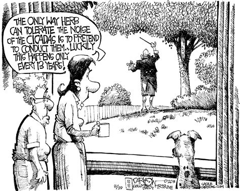 Tips for Controlling Cicada Damage to Trees in Northern Virginia