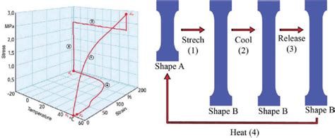 cycle  programming  thermal active smp   deformed shape